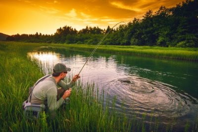秋季釣魚的適宜時(shí)間，初秋適合在早上或下午出釣