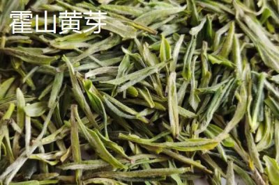 安徽省十大名茶，黃山毛峰屬于我國歷史名茶之一