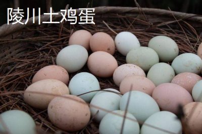 我國(guó)雞蛋產(chǎn)地，主要集中在華東、華北以及東北等地區(qū)