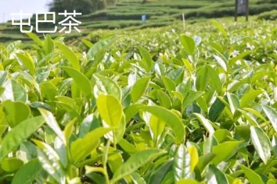 廣西梧州市的特產(chǎn)，上湯河粉是梧州的特色美食