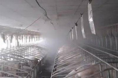 北方冬天怎么給豬圈增溫，安裝供暖設(shè)備可以提高溫度