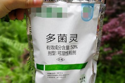 使用多菌靈要注意什么，蔬菜收獲前5天需停用