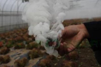 防治病蟲害的適宜適期，害蟲幼齡期、危險生育期、天敵敏感期適合用藥
