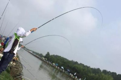 黑漂提竿不中魚如何處理，魚口太滑可換成小鉤細(xì)線降低其警惕性