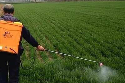 甲維高氯氟的殺蟲原理，原理為阻礙害蟲的運動神經(jīng)信息的傳遞