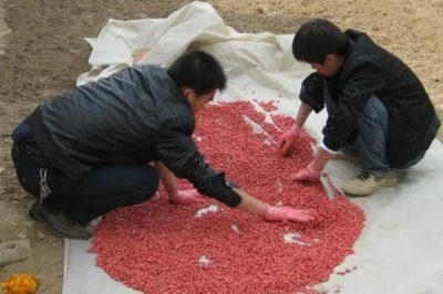 種衣劑的使用注意事項(xiàng)，使用過程中一定要嚴(yán)格執(zhí)行操作規(guī)程