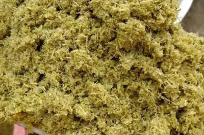 養(yǎng)牛如何節(jié)省飼料，可將草料進行加工或配合飼料