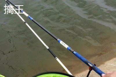 黑坑競技釣鯉魚用哪種魚竿，可選擇本汀隼、擒王、黑蛟龍等竿型