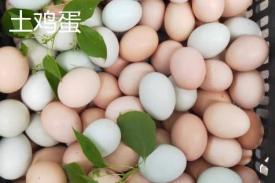 土雞蛋的價格，1枚需要1-2元左右