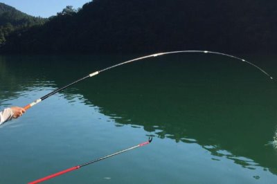 釣黃尾魚的適宜時(shí)間，早上和下午更適合作釣