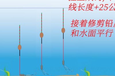 掛玉米粒釣魚可以嗎，使用玉米粒掛鉤效果不錯