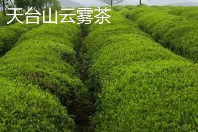 浙江省諸暨市的特產(chǎn)，同山燒被譽為“江南小茅臺”