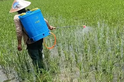 殺菌劑特效復(fù)配配方，適用于不同作物