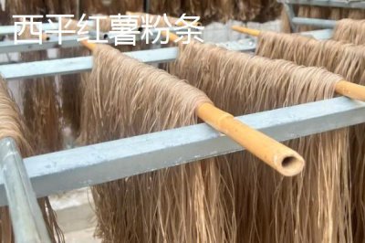 河南省駐馬店市的特產(chǎn)，包括平輿白芝麻、正陽三黃雞、正陽花生等種類