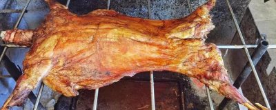 湖南冷水江市的特產(chǎn)，冷水江楊梅大如蛋