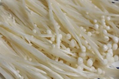 農(nóng)村種植什么食用菌具有較高的效益，香菇、木耳、平菇等品種均為不錯的選擇