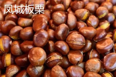 遼寧省丹東市的特色水果，夏家村草莓達(dá)到無(wú)公害綠色食品標(biāo)準(zhǔn)