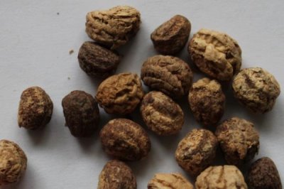 泰國的國花是什么花，是金蓮花