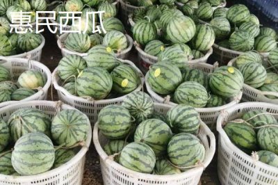 山東惠民縣的特產(chǎn)，惠民西瓜具有悠久歷史