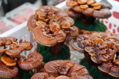 農(nóng)產(chǎn)品的營(yíng)銷策略，以下6種可參考