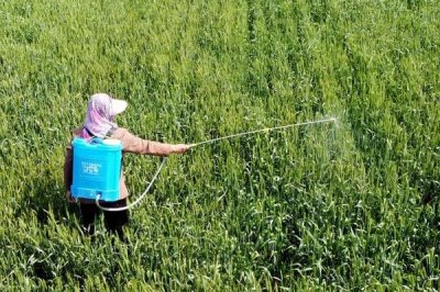 水胺硫磷屬于哪類(lèi)農(nóng)藥，屬于有機(jī)磷殺蟲(chóng)殺螨劑