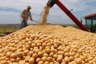 大豆幾月份收獲，種植時間不同收獲的時間也不同