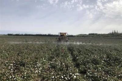 10ml雙甲脒要兌多少水，針對不同動物的兌水量不同