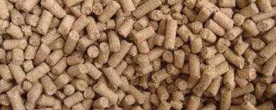 牛有哪些吃的飼料，包括粗飼料、精飼料和青飼料