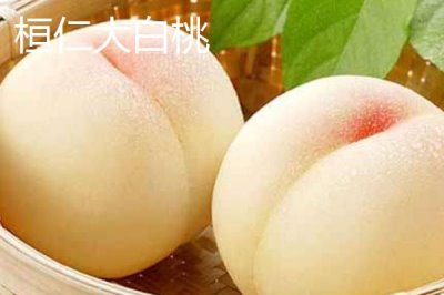 遼寧省桓仁滿族自治縣的特產(chǎn)，包括桓仁山參、桓仁大米、桓仁冰酒等種類