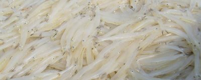 銀魚(yú)的產(chǎn)地,太湖、西湖、馬湖是三大銀魚(yú)盛產(chǎn)湖