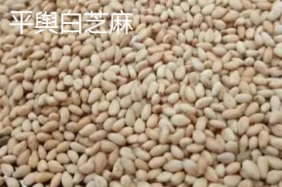 河南省駐馬店市的特產(chǎn)，包括平輿白芝麻、正陽三黃雞、正陽花生等種類
