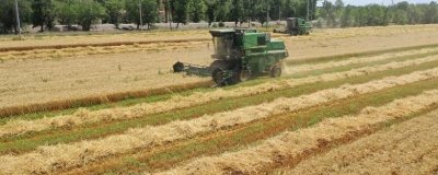 夏收時間，一般是5-6月份