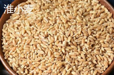 淮小麥和浮小麥的區(qū)別，產(chǎn)地和泡水后的狀態(tài)均不同