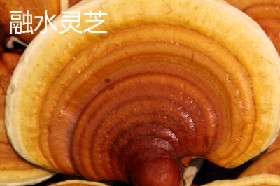 柳州市融水苗族自治縣的特產(chǎn)，包括融水糯米柚、融水香鴨、融水靈芝等種類