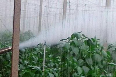 如何降低蔬菜種植中的農(nóng)藥殘留，減少農(nóng)藥使用量是關(guān)鍵