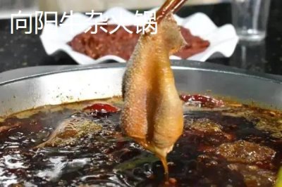 四川省自貢市的特產(chǎn)，榮縣油茶榮獲國(guó)家地理標(biāo)志證明商標(biāo)