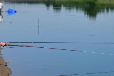 垂釣青魚的適宜時(shí)間，4-6月份、8-11月份均為最佳垂釣期