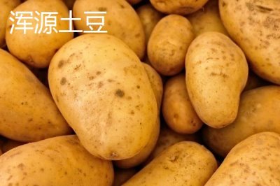 山西省渾源縣的特產(chǎn)，包括恒山黃芪、渾源燒酒、北芪菇等種類