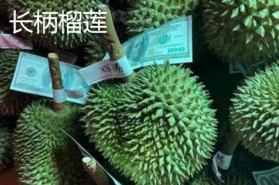 榴蓮如何防止氧化，可放入冰箱冷凍保存