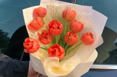 郁金香的花語是什么，寓意無盡的愛、清高戀情等