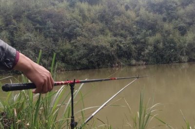 黑漂提竿不中魚如何處理，魚口太滑可換成小鉤細(xì)線降低其警惕性