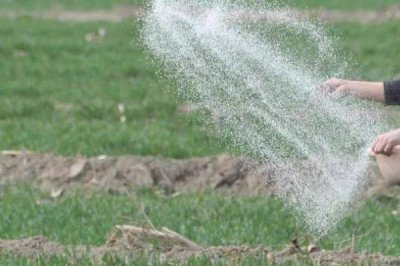 磷肥怎么使用，了解這9個(gè)要點(diǎn)