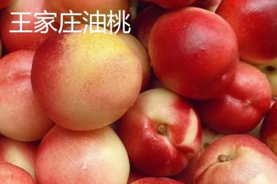 山東萊西的特產(chǎn)，是國務(wù)院確定的沿海地區(qū)對外開放縣市之一