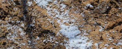 復(fù)合肥撒在地表多長時(shí)間會(huì)揮發(fā)，揮發(fā)時(shí)間與溫度有關(guān)