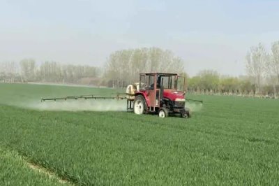 惡霉靈的作用，可提高作物生理活性且促進(jìn)根的分蘗