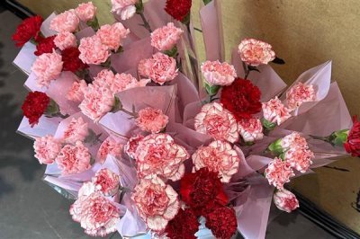 康乃馨的花語，寓意母愛之情、尊敬之情等