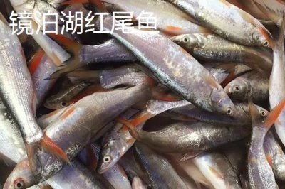 黑龍江佳木斯市的特產(chǎn)，包括力佳風(fēng)干腸、抱馬子茶葉筒等種類