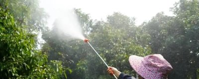 荔枝種植常用哪些農(nóng)藥，不同類型的農(nóng)藥針對性不同