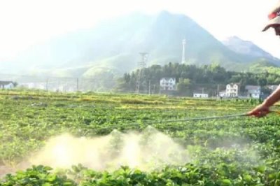 代森錳鋅不能與哪些農(nóng)藥混用，不能和銅制劑和堿性藥劑混用