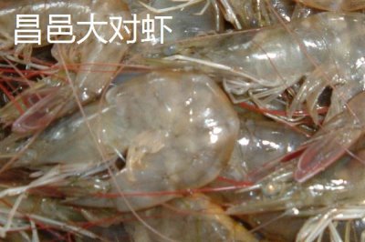 山東濰坊的特產(chǎn)，諸城綠茶是中國國家地理標志產(chǎn)品